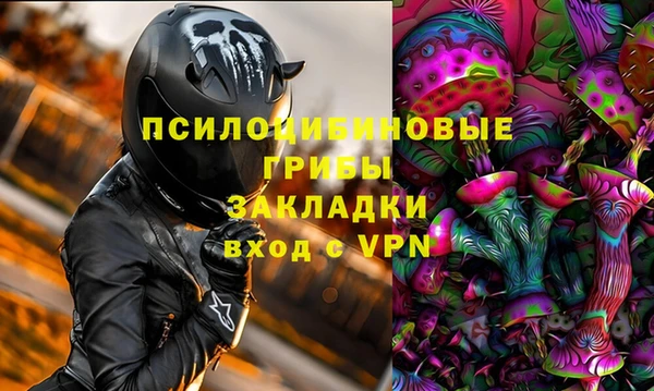 тгк Алексин
