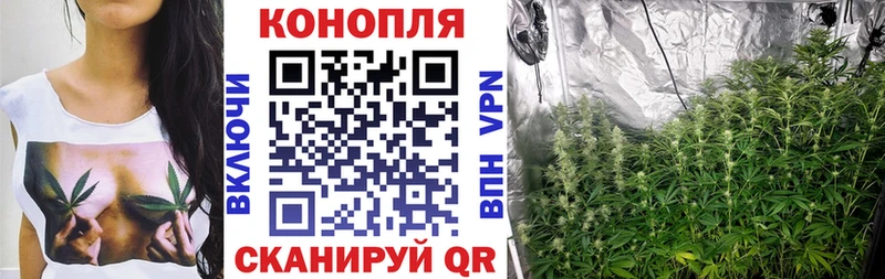 сколько стоит Шелехов OMG Конопля THC 21%